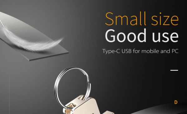 فلش 32 گیگابایت دی ام DM Type C usb flash drive PD059 - Image 4